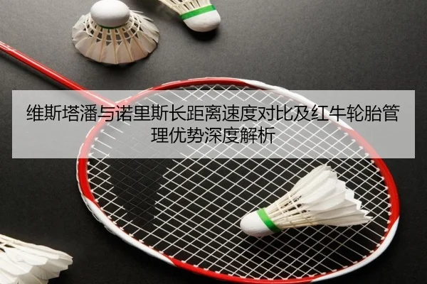 维斯塔潘与诺里斯长距离速度对比及红牛轮胎管理优势深度解析