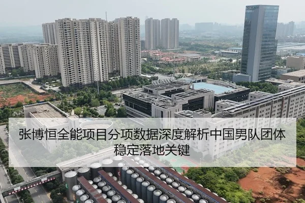 张博恒全能项目分项数据深度解析中国男队团体稳定落地关键