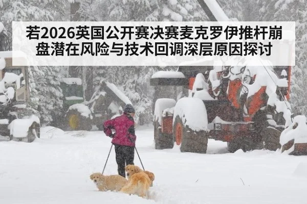 若2026英国公开赛决赛麦克罗伊推杆崩盘潜在风险与技术回调深层原因探讨