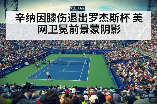 辛纳因膝伤退出罗杰斯杯 美网卫冕前景蒙阴影