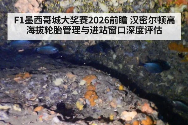 F1墨西哥城大奖赛2026前瞻 汉密尔顿高海拔轮胎管理与进站窗口深度评估